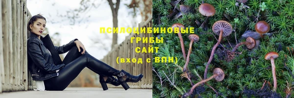 ешки Абаза