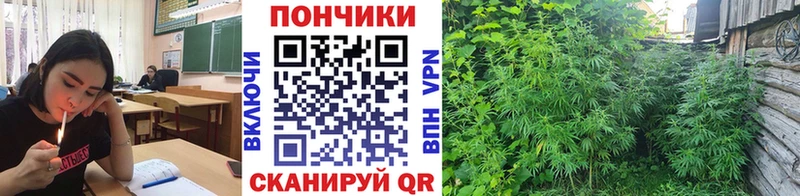цены наркотик  Брюховецкая  Конопля THC 21% 